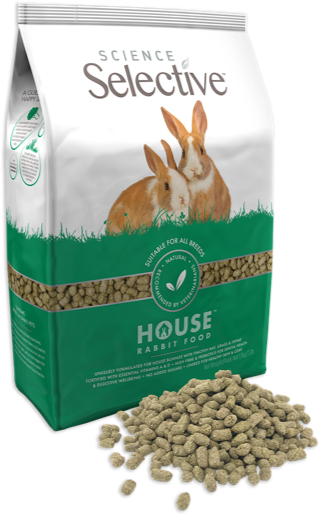 science-selective-house-rabbit-side-food