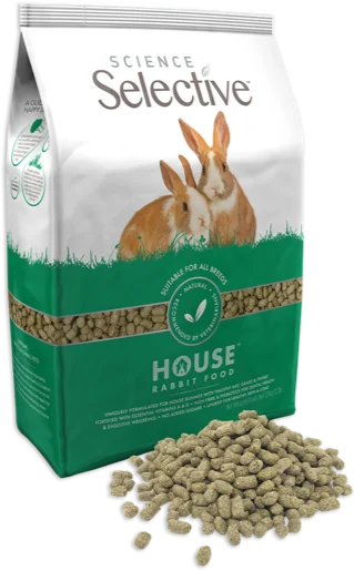 science-selective-house-rabbit-side-food