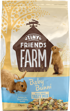 tff-baby-bunni-front