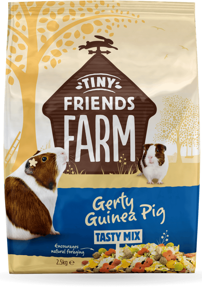 tff-gerty-guinea-pig-front