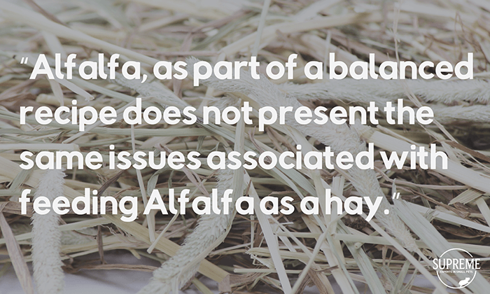 supreme-alfalfa-timothy-hay-quote