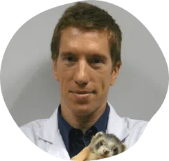 A man holding a ferret