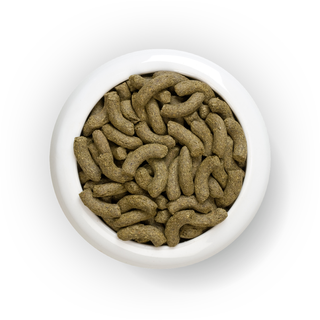 Pet Food Close Up