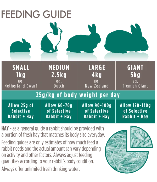 Mature-4+-Rabbit-Feeding-Guide