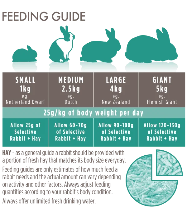 Adult-Rabbit-Feeding-Guide