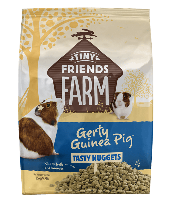 Guinea pig nuggets pets best sale at home