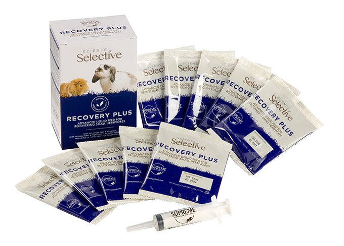 RecoveryPlus