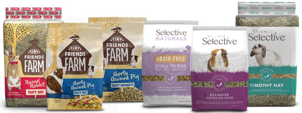 Image showcasing The guinea pig digestive system – how does it work? | Supreme Petfoods