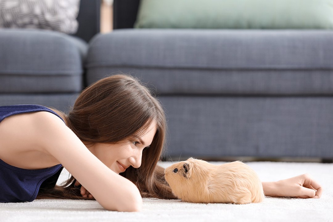 guinea pig woman