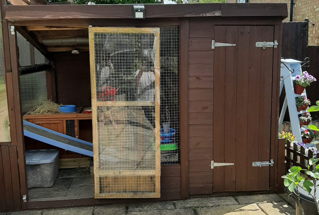 Rabbit hutch in sales garage