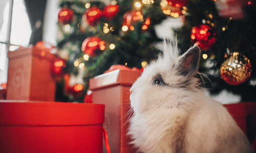 rabbit presents christmas tree