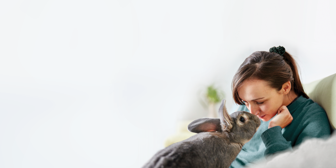 10-ways-to-show-your-rabbits-you-love-them-supreme-petfoods