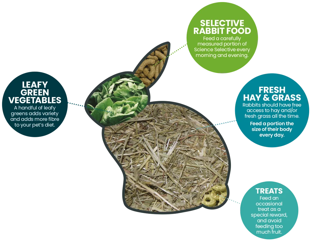 Rabbit Nutrition Guide Body FFL