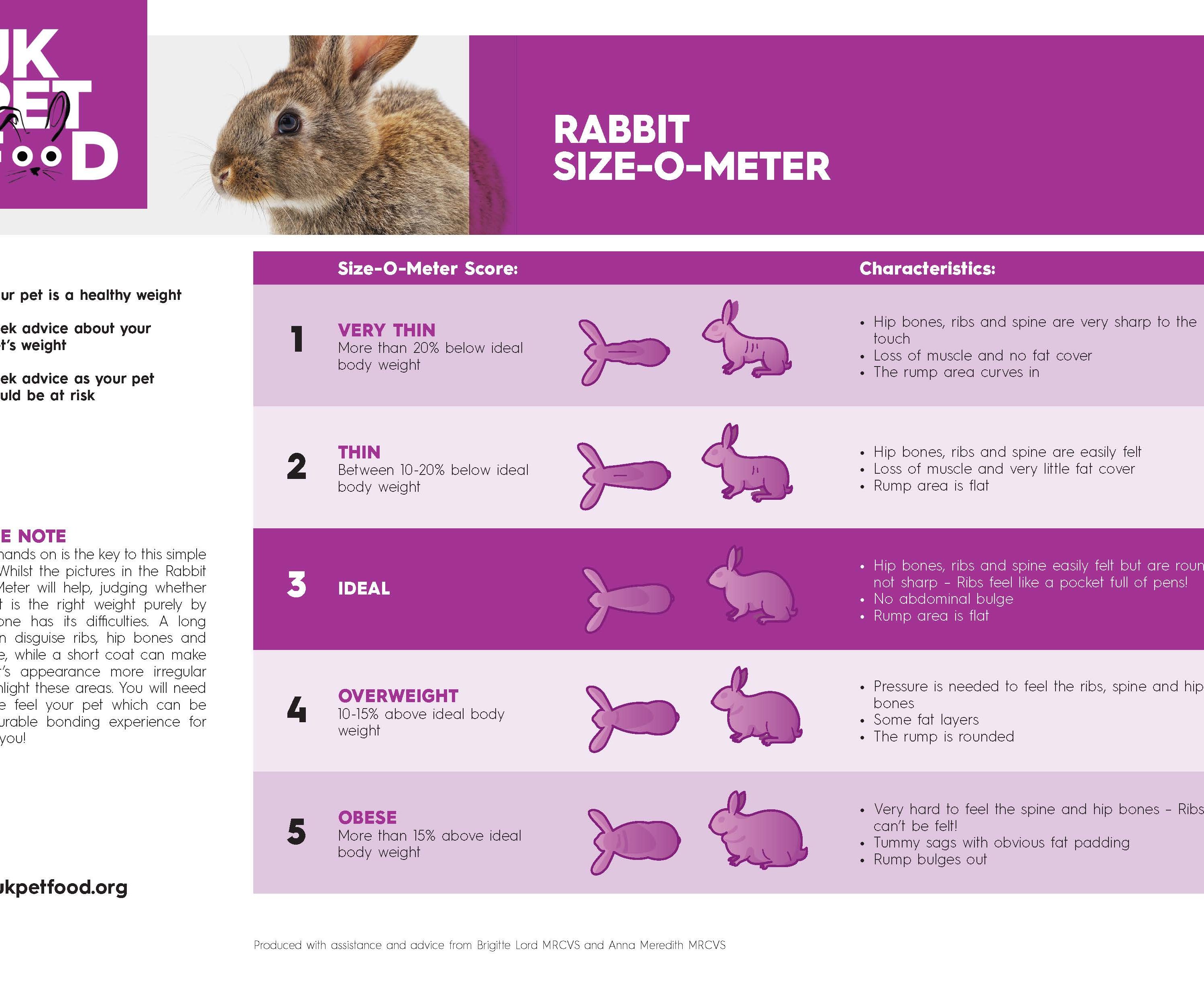 An infographic titled "Rabbit Size-O-Meter" by UK Pet Food, designed to help owners assess if their rabbit is at a healthy weight. The chart uses a 5-point scoring system with illustrations from both a top-down and side profile view for each category.