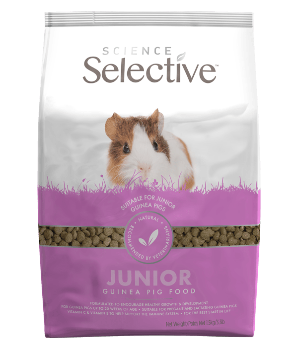 Guinea pig nuggets sale