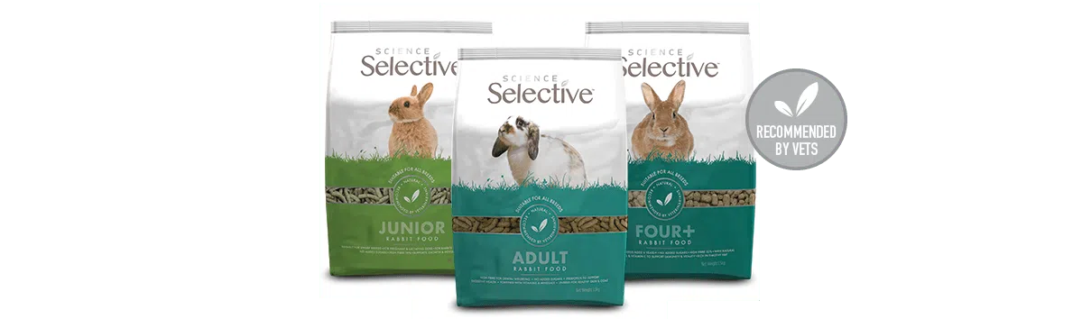 Rabbit Nuggets A Look at Life Lifestyle Supreme Petfoods