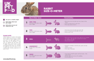 body condition score size o meter