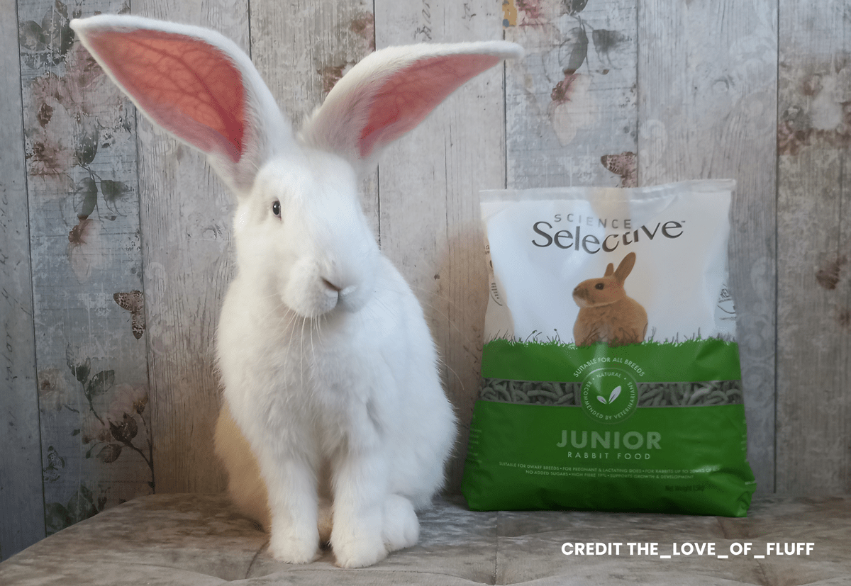 Young Rabbit Junior Selective Rabbit Food