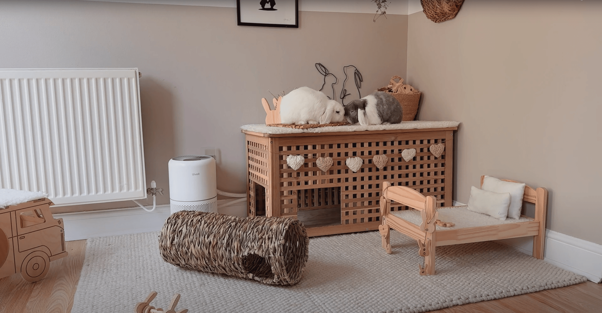 10 Reasons Why Rabbits Make Fantastic Family Pets - Supreme Petfoods