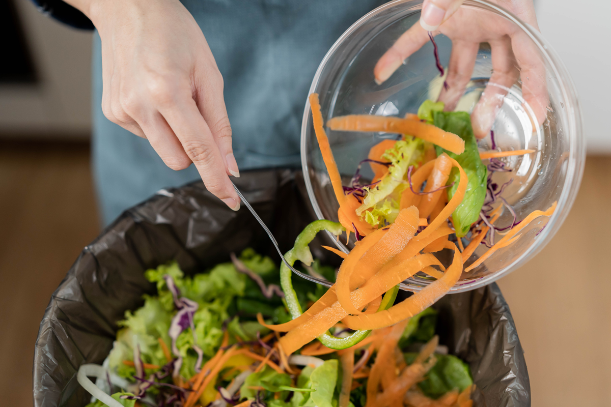 Cleaned Rabbit Food Feeding rabbits: the best kitchen scraps to reduce food waste - Supreme ...
