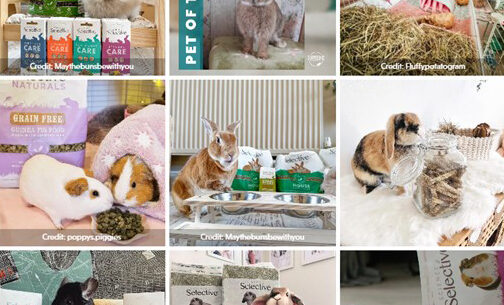 Collage of small pets from Supreme's social media, including rabbits, guinea pigs, and hamsters alongside Supreme Petfoods products such as Science Selective and Tiny Friends Farm. Images feature cozy setups, treats, and pet care essentials, highlighting happy, healthy pets.