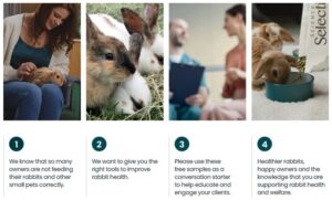 A series of four images showcasing the importance of feeding rabbits and small pets correctly. The first image shows a person happily interacting with a rabbit, the second shows rabbits in a field, the third features a veterinarian holding a consultation with a pet owner, and the fourth shows a rabbit eating from a bowl of food, emphasizing the message of promoting rabbit health and welfare.