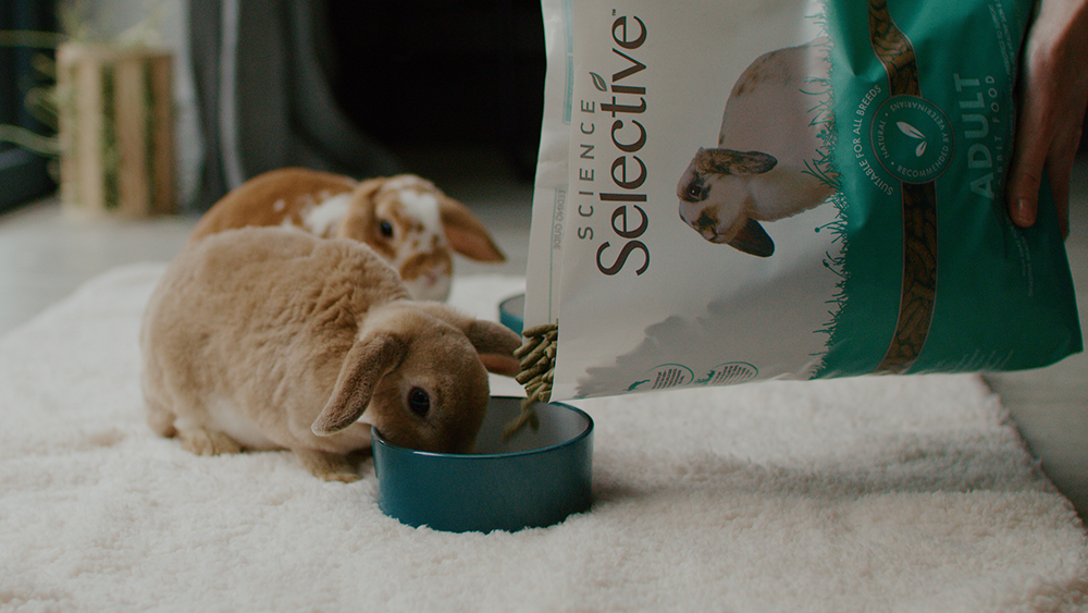Supreme Science Selective Rabbit Food being poured into a bowl to help the ideal rabbit body condition score
