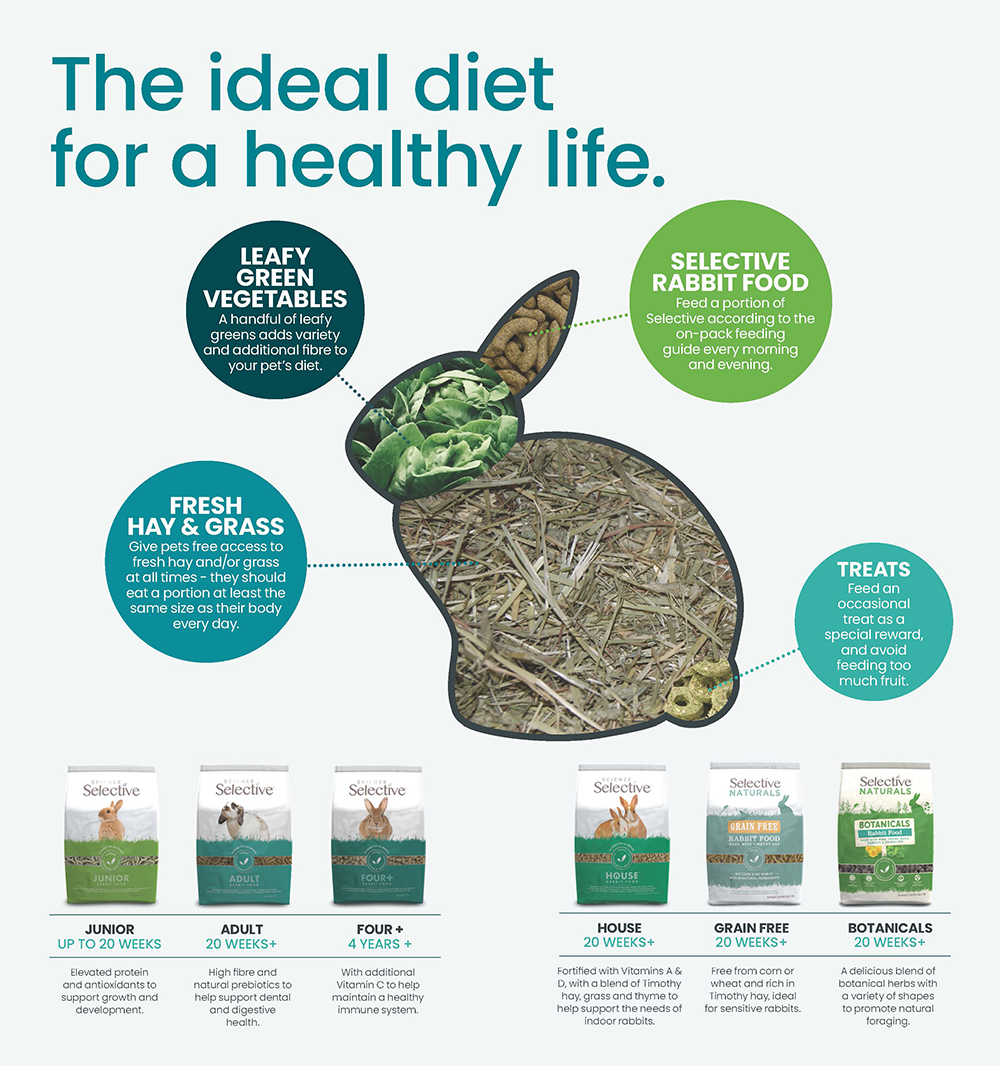 Rabbit nutrition guide infographic titled “The ideal diet for a healthy life,” showing a rabbit silhouette filled with hay and greens. Key bubbles recommend: Fresh hay and grass available at all times (portion at least the size of the rabbit’s body). Leafy green vegetables as a handful daily for added fiber. Selective rabbit food fed morning and evening per pack guide. Treats only occasionally and avoid too much fruit. Bottom row displays different Selective rabbit food product bags with brief benefits for life stages and needs. The ideal rabbit weight on the body condition score chart is 3, and this graphic depicts the ideal rabbit diet.