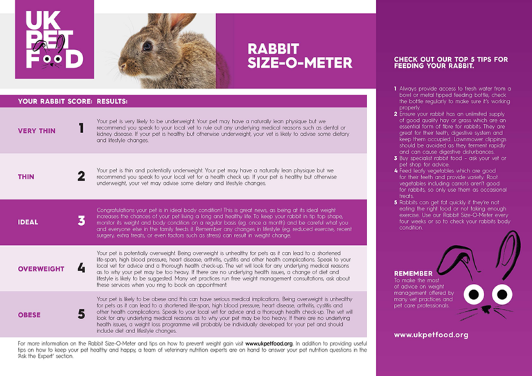 Rabbit Body Condition Score (BCS): A Simple Step-by-Step Guide ...