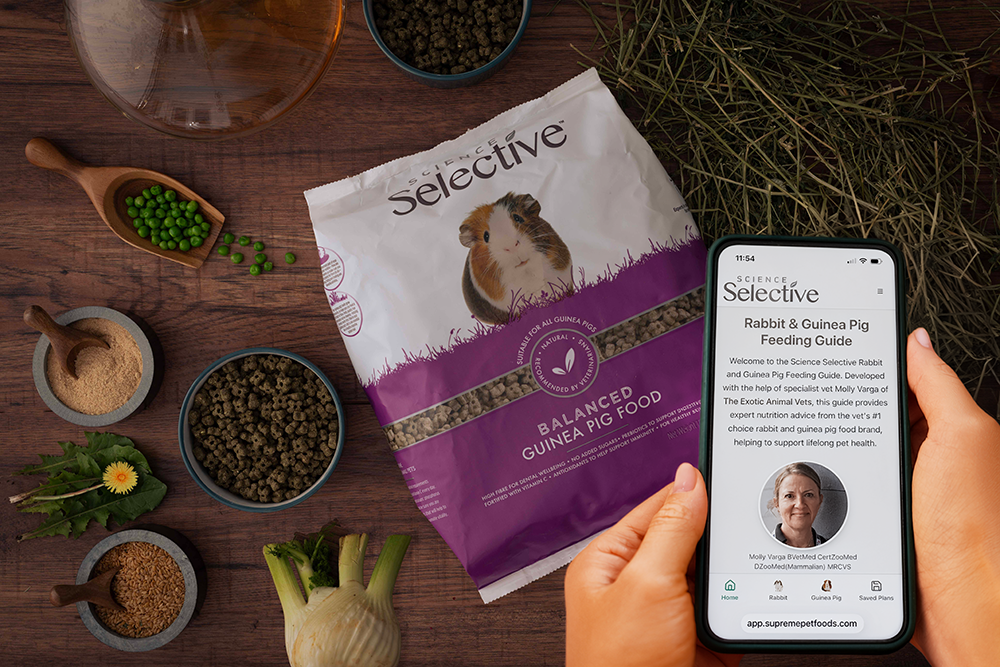 An overhead shot shows a person holding a smartphone displaying the Science Selective Rabbit & Guinea Pig Feeding Guide website next to a bag of Selective Balanced Guinea Pig Food. The dark wooden surface is arranged with various pet health ingredients, including small bowls of peas, flaxseeds, pellets, and fresh greens like dandelion and fennel, alongside a pile of hay.