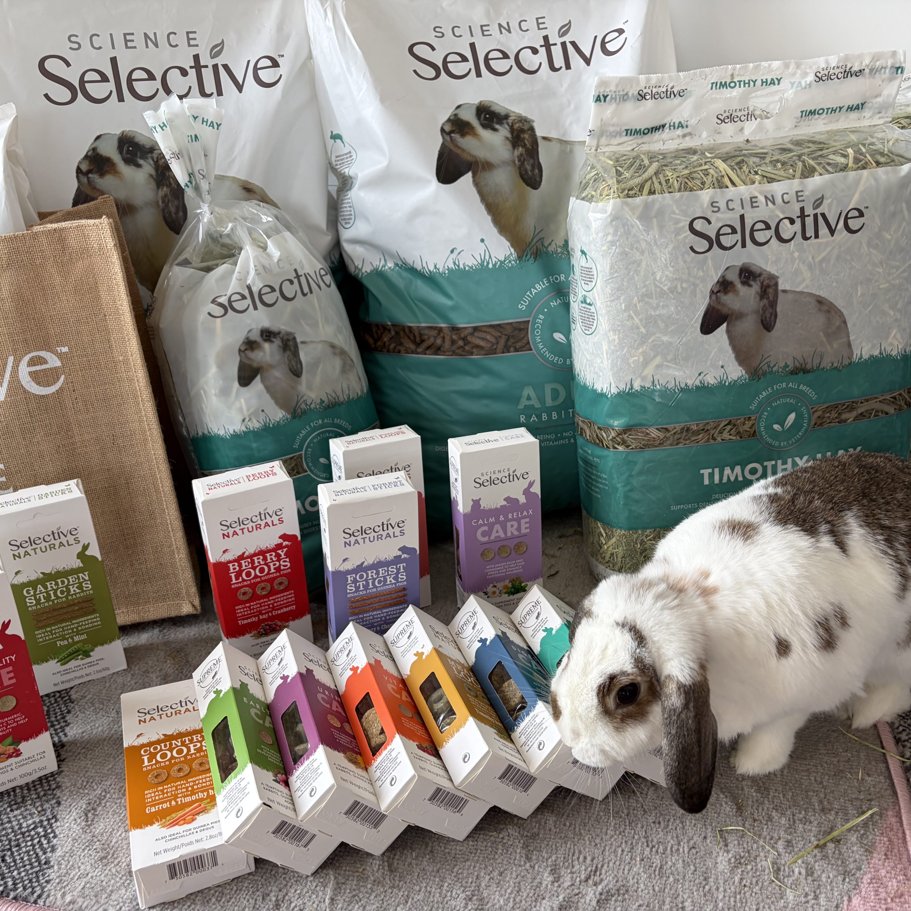 win a year's supply of rabbit food