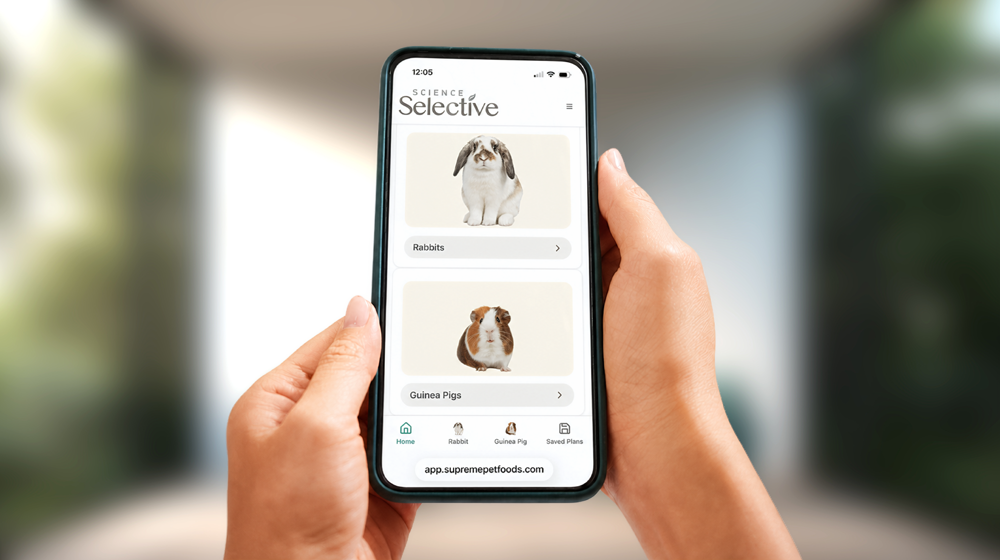 A person holds a smartphone displaying the Science Selective app home screen, with sections for Rabbits and Guinea Pigs. The phone is centered against a softly blurred indoor background, with no animals shown outside the screen.