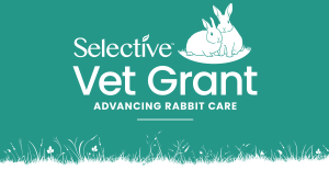 Selective Vet Grant banner logo on a teal background featuring an illustration of two rabbits above the text ‘Vet Grant’ and the tagline ‘Advancing Rabbit Care’. White grass silhouettes run along the bottom of the design.